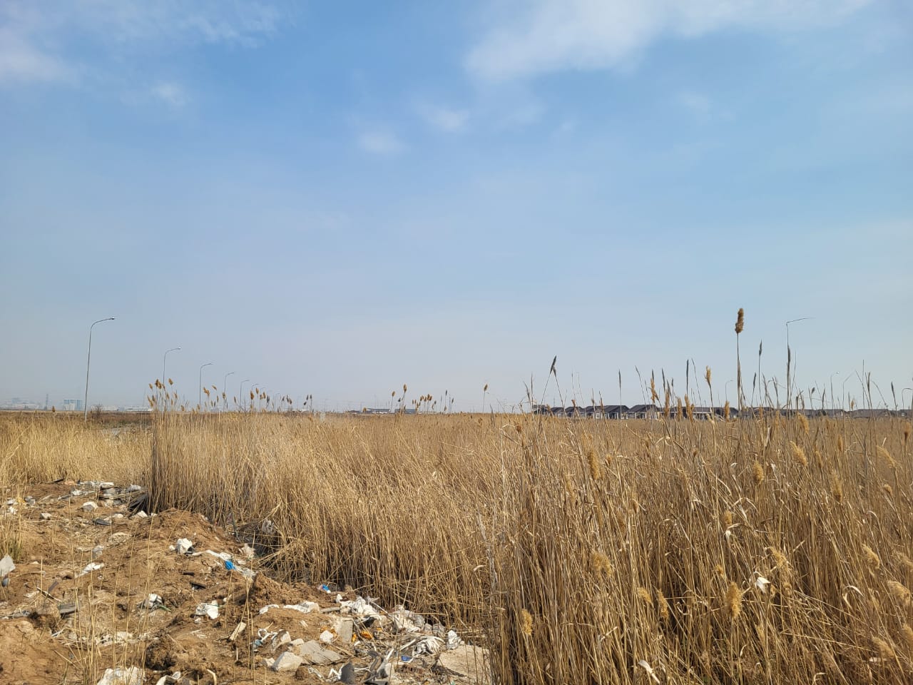 img-8