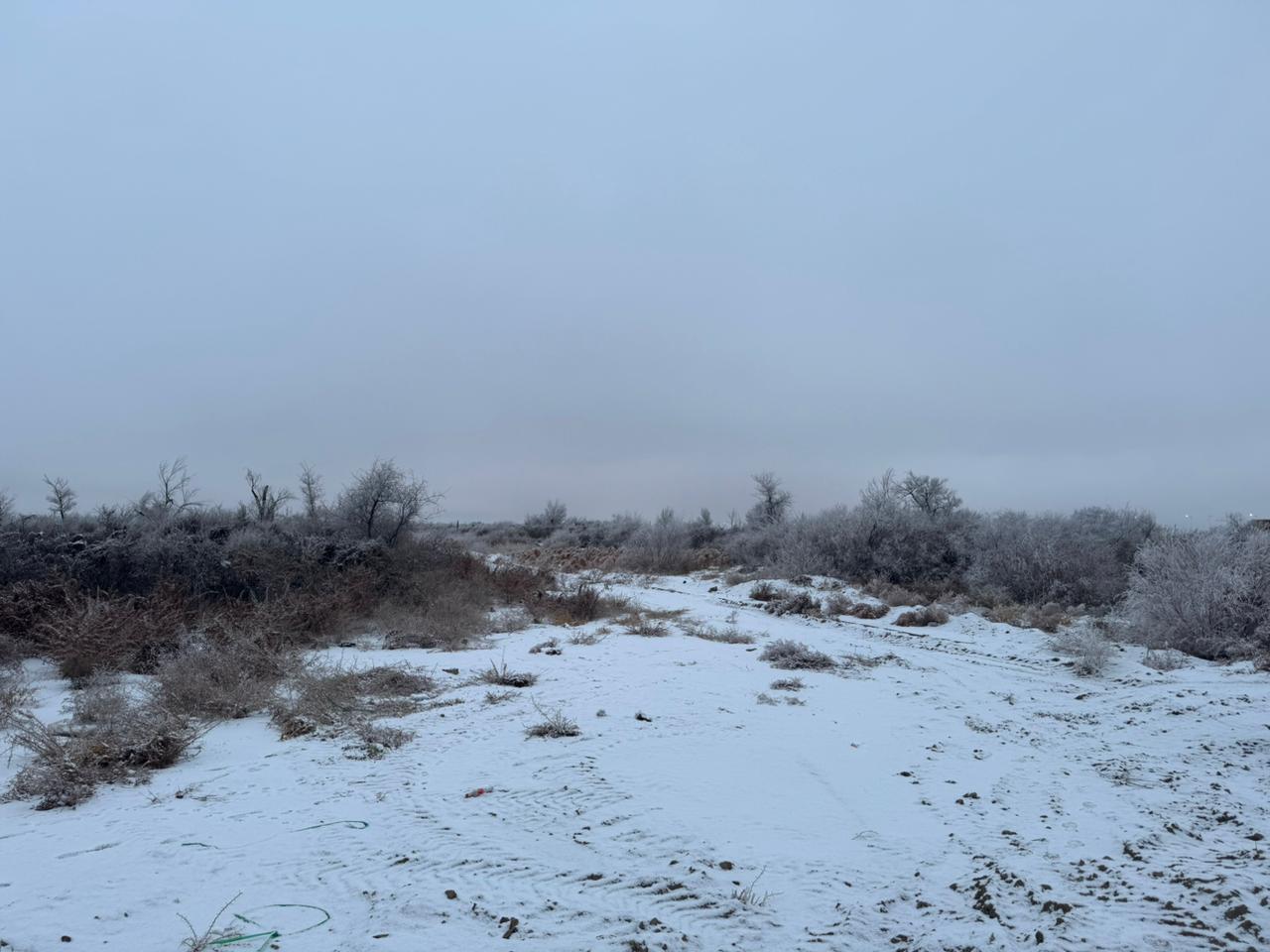 img-2
