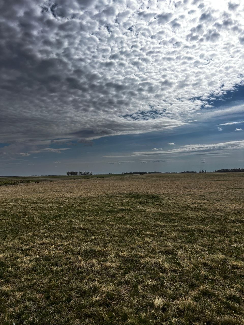img-3