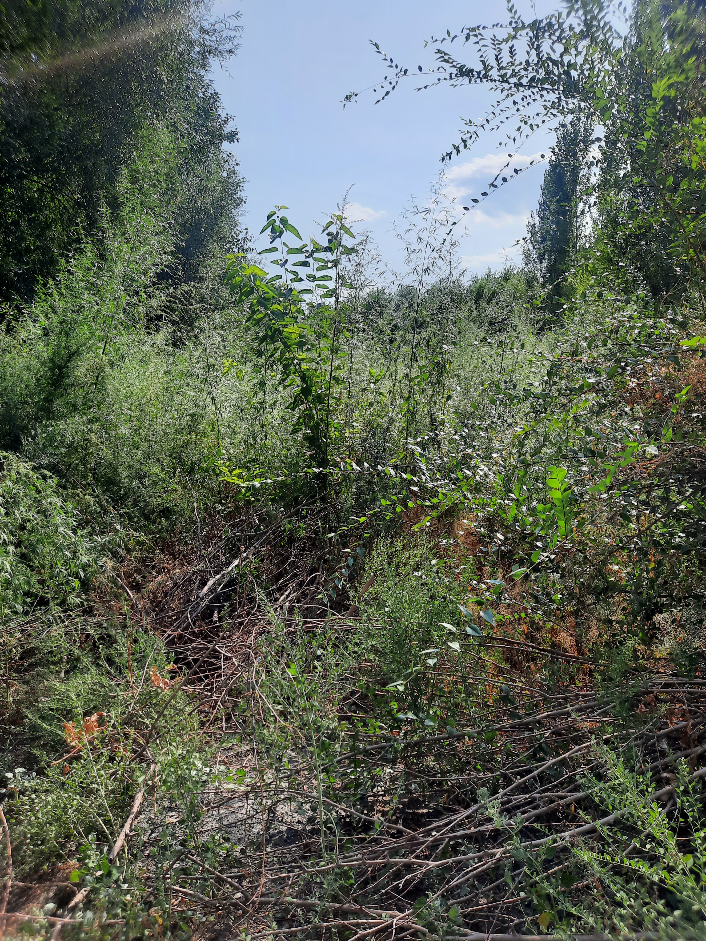 img-1