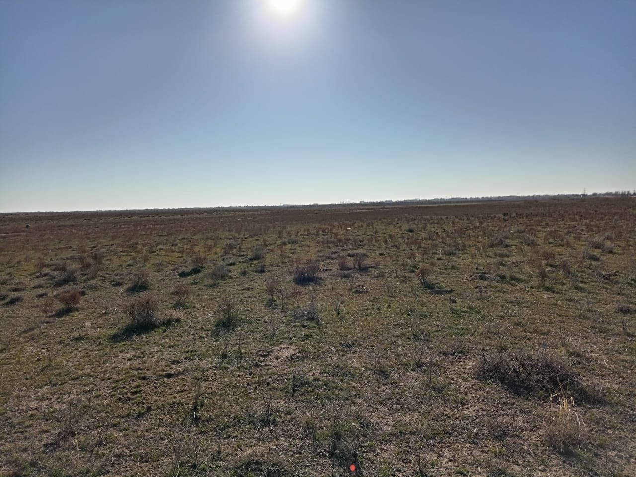 img-3