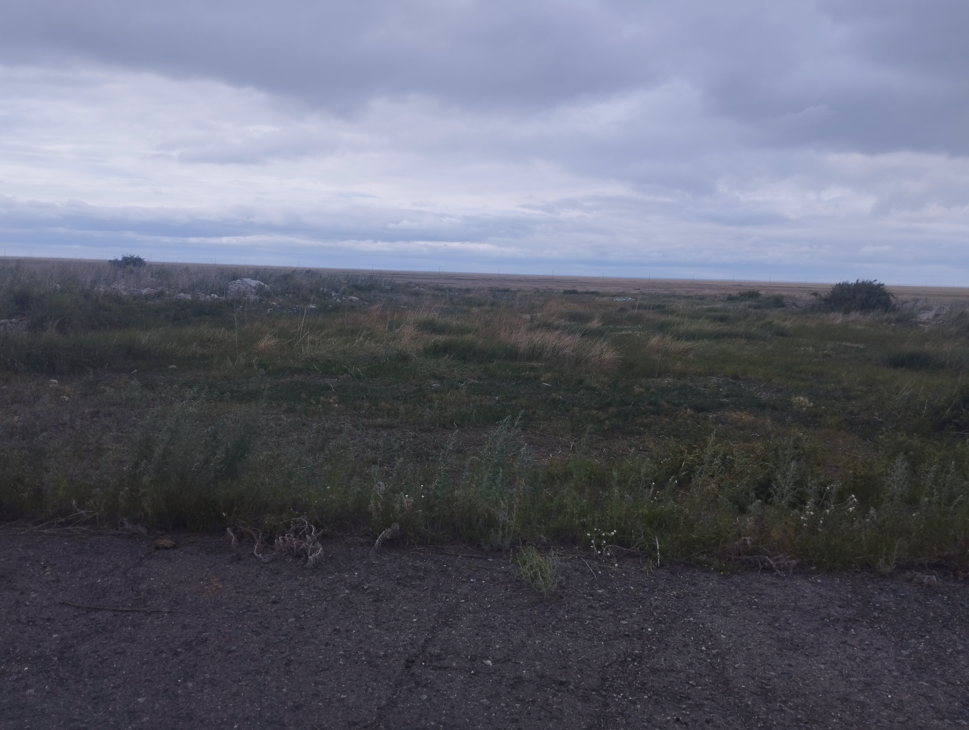img-1