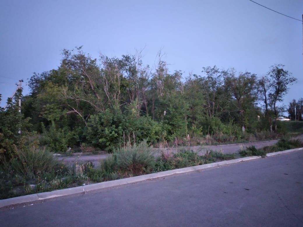 img-2