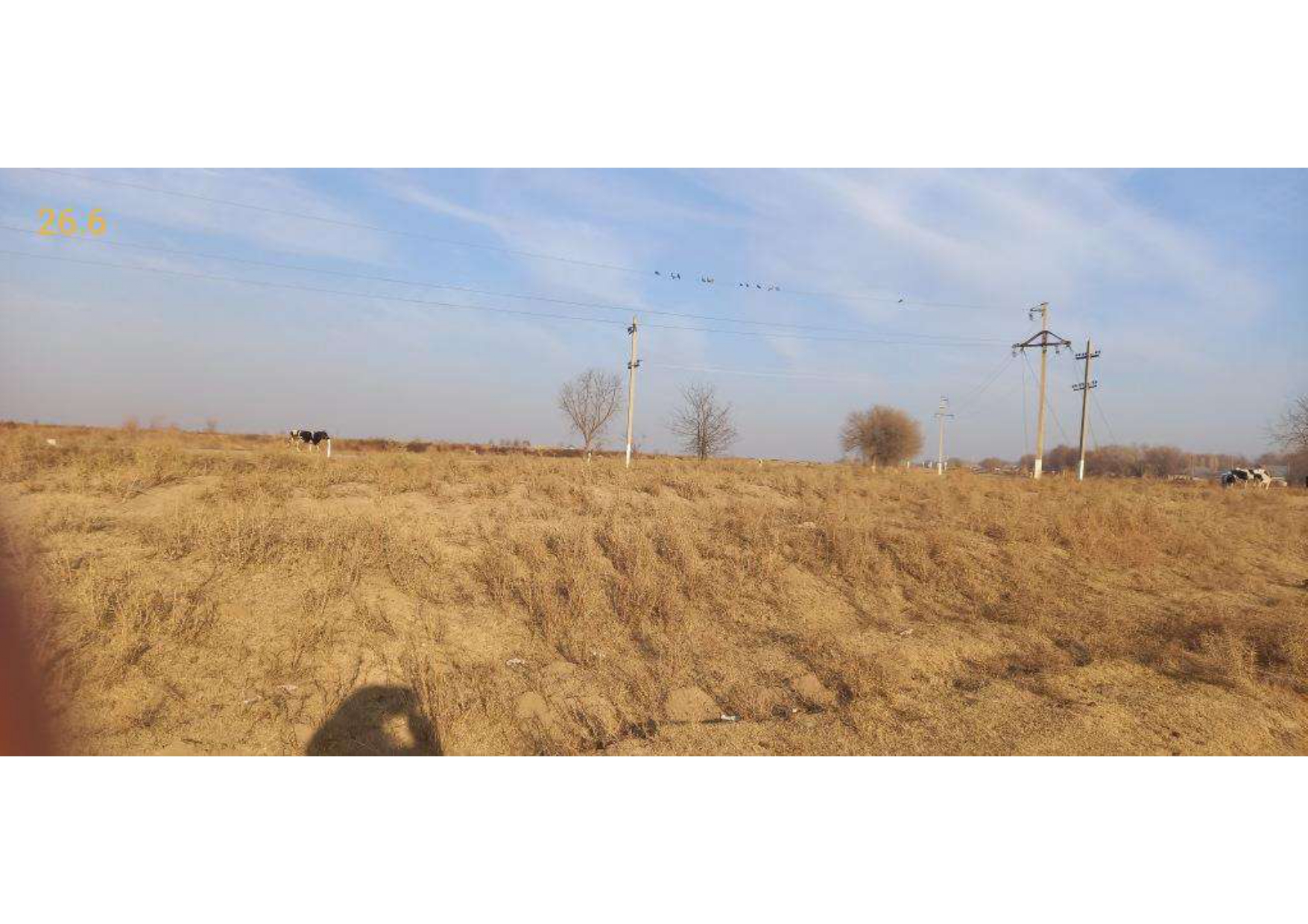 img-3