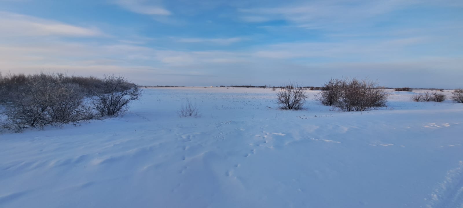 img-0