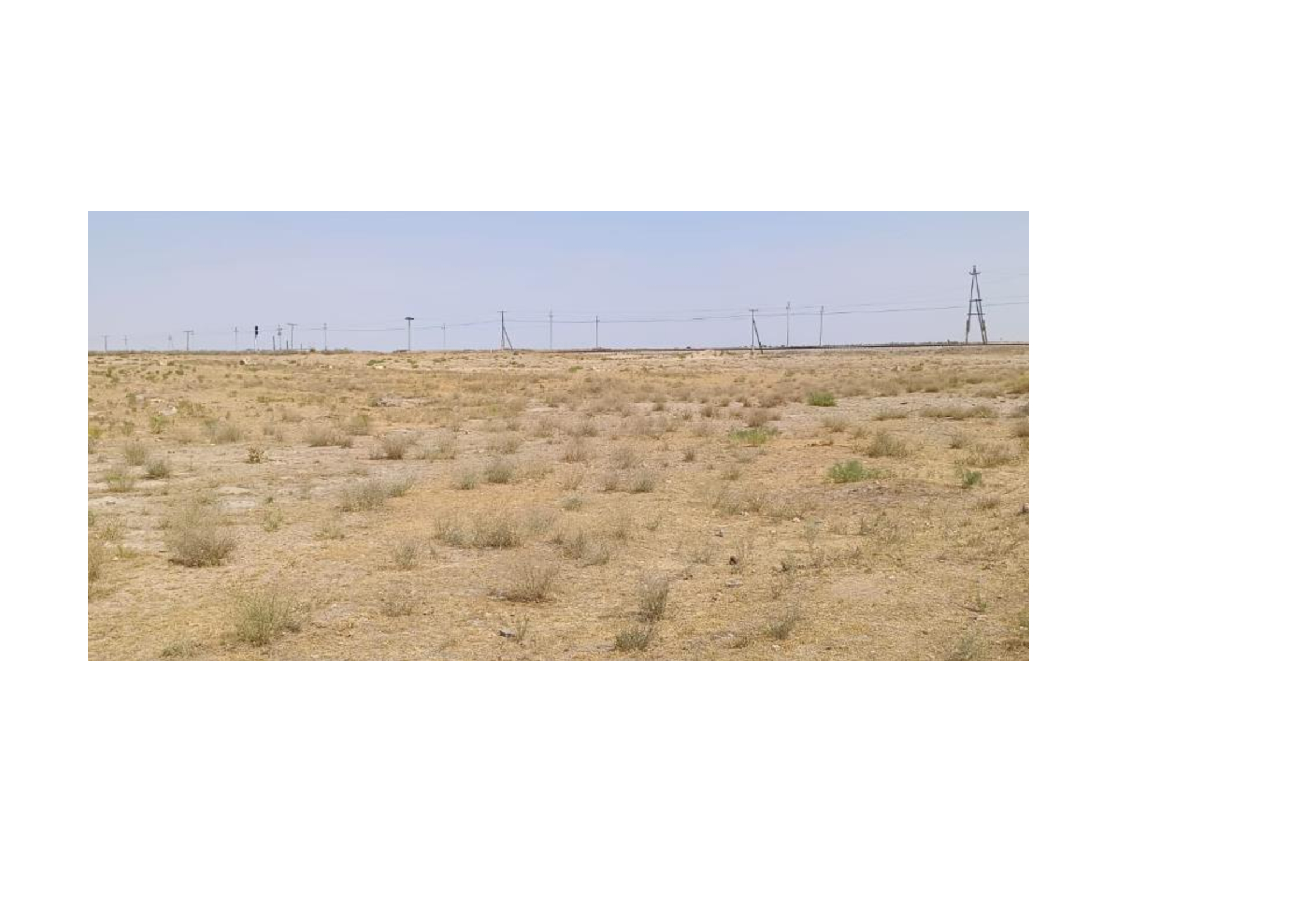 img-1