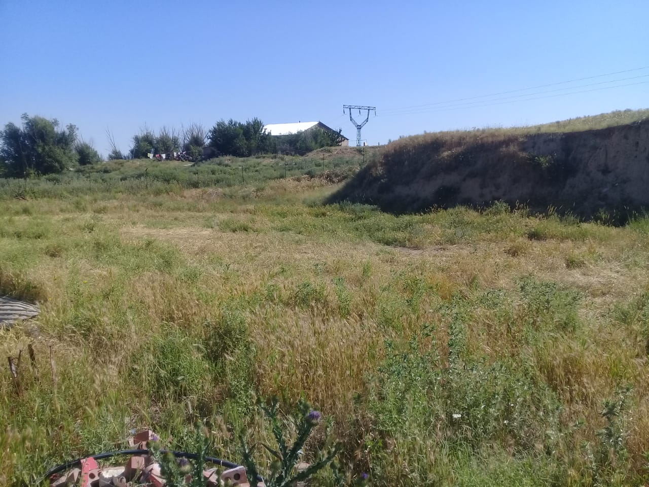 img-3