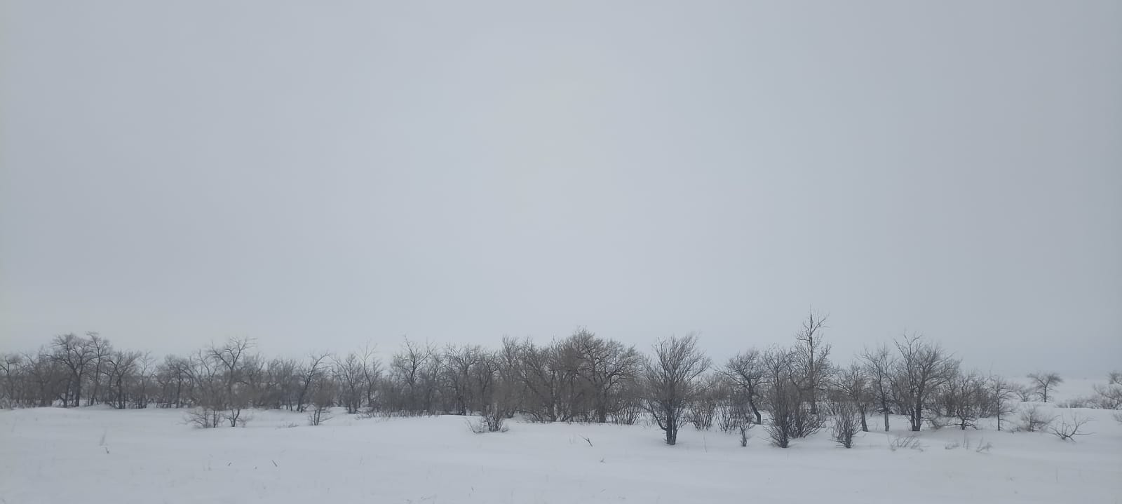 img-0