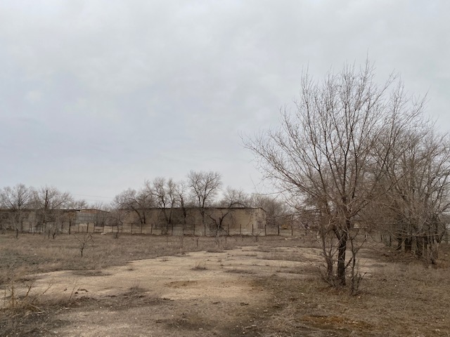 img-0
