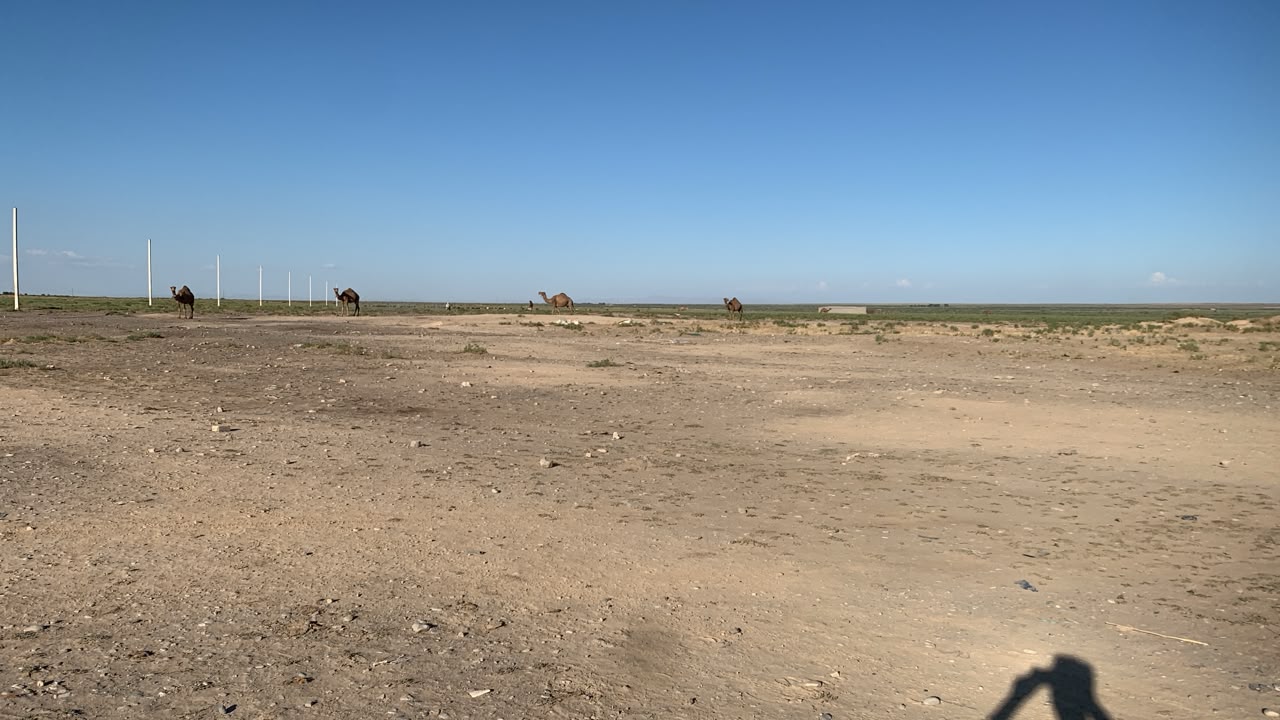 img-3