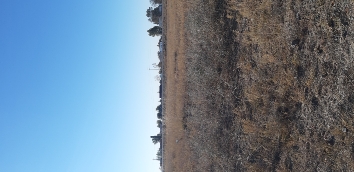 img-1