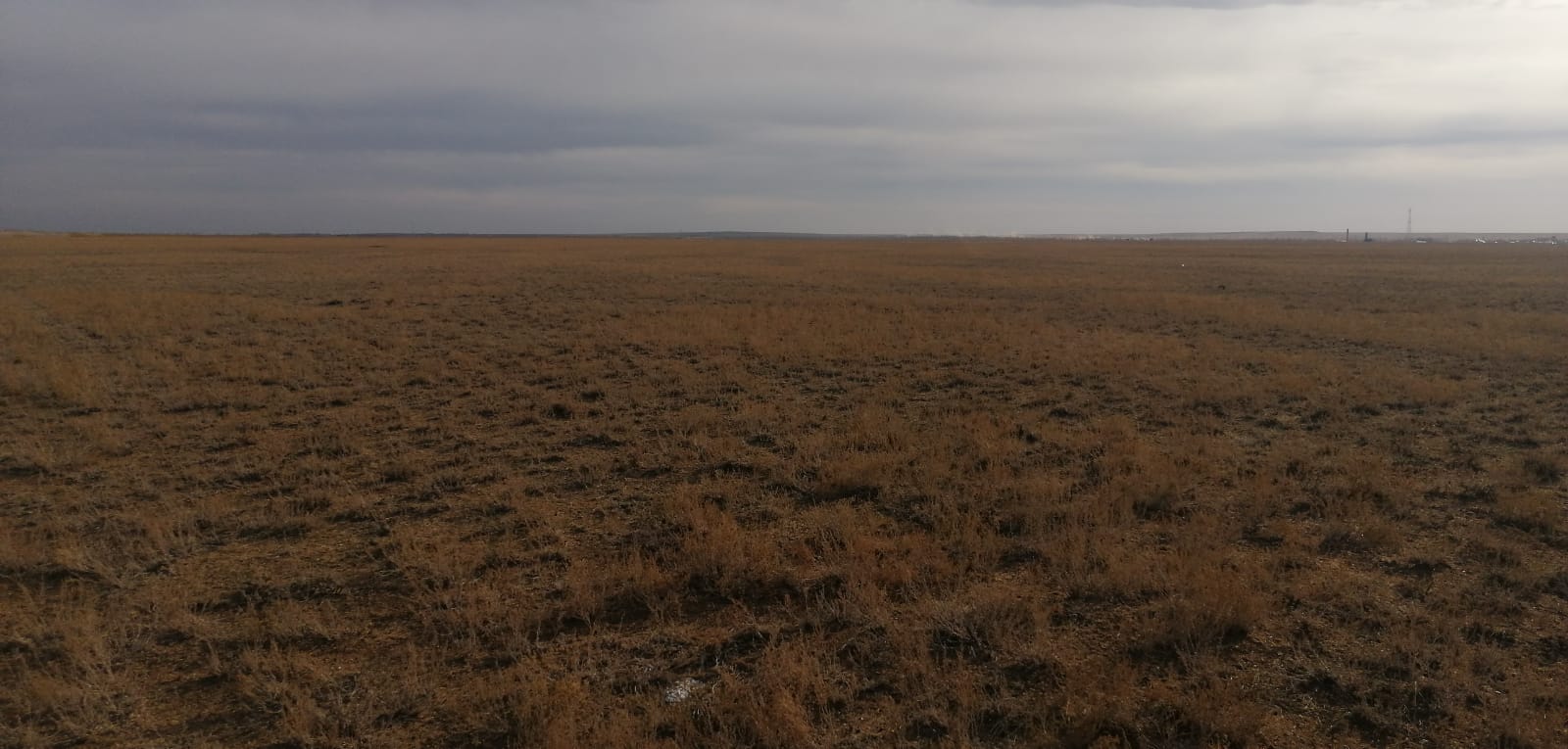 img-2