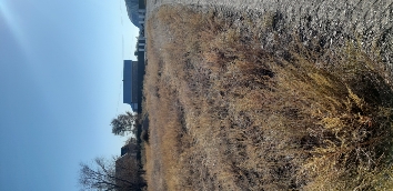 img-0