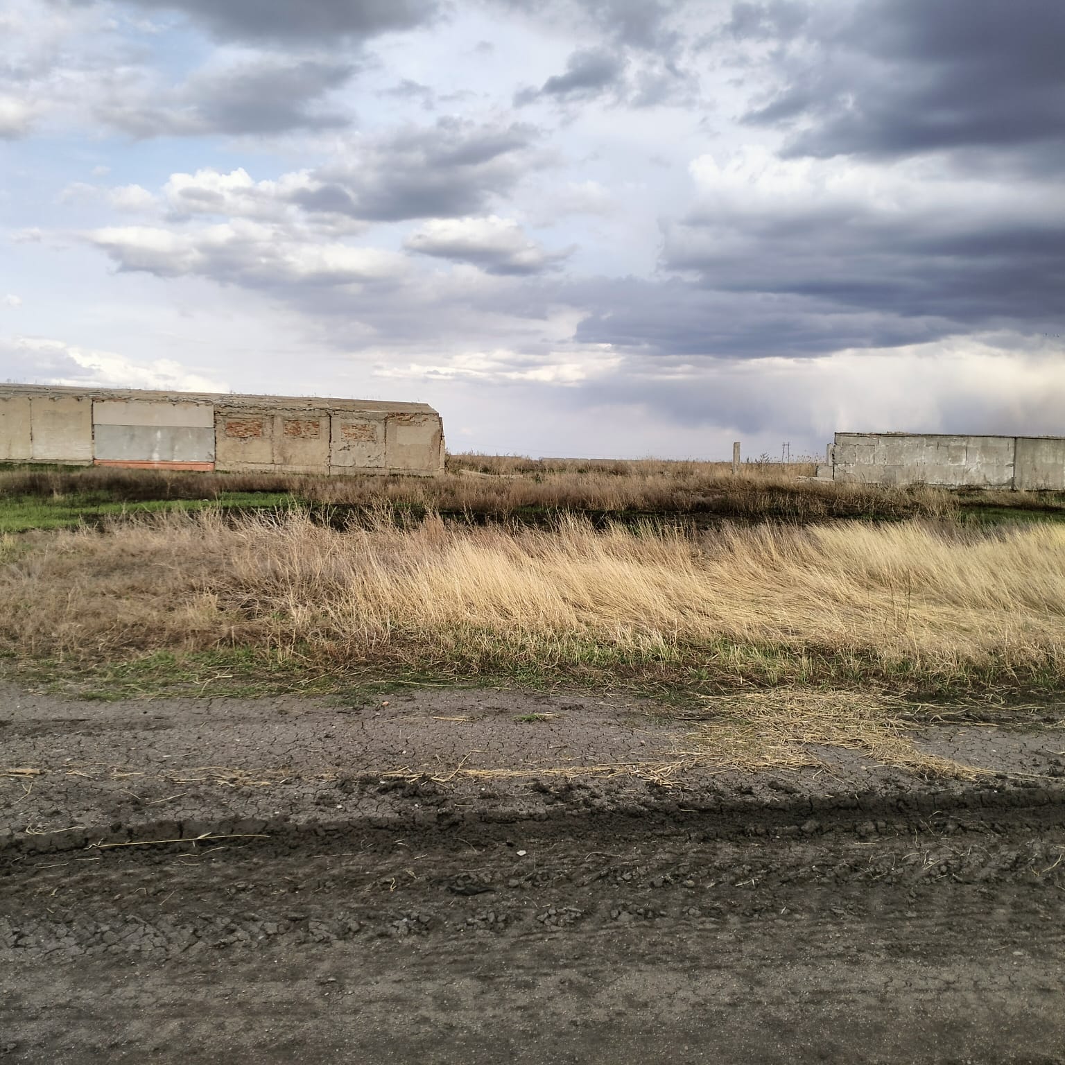 img-2