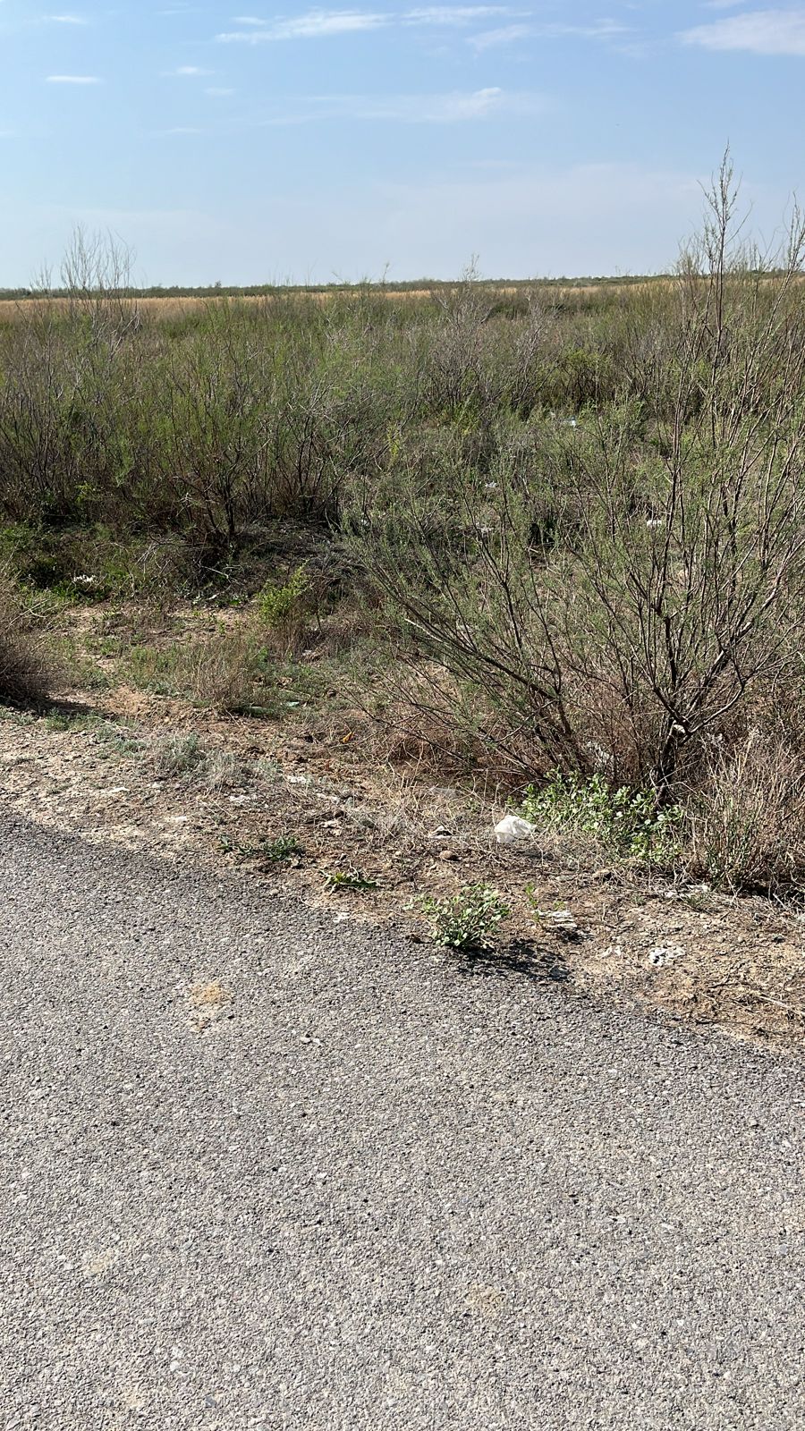 img-1