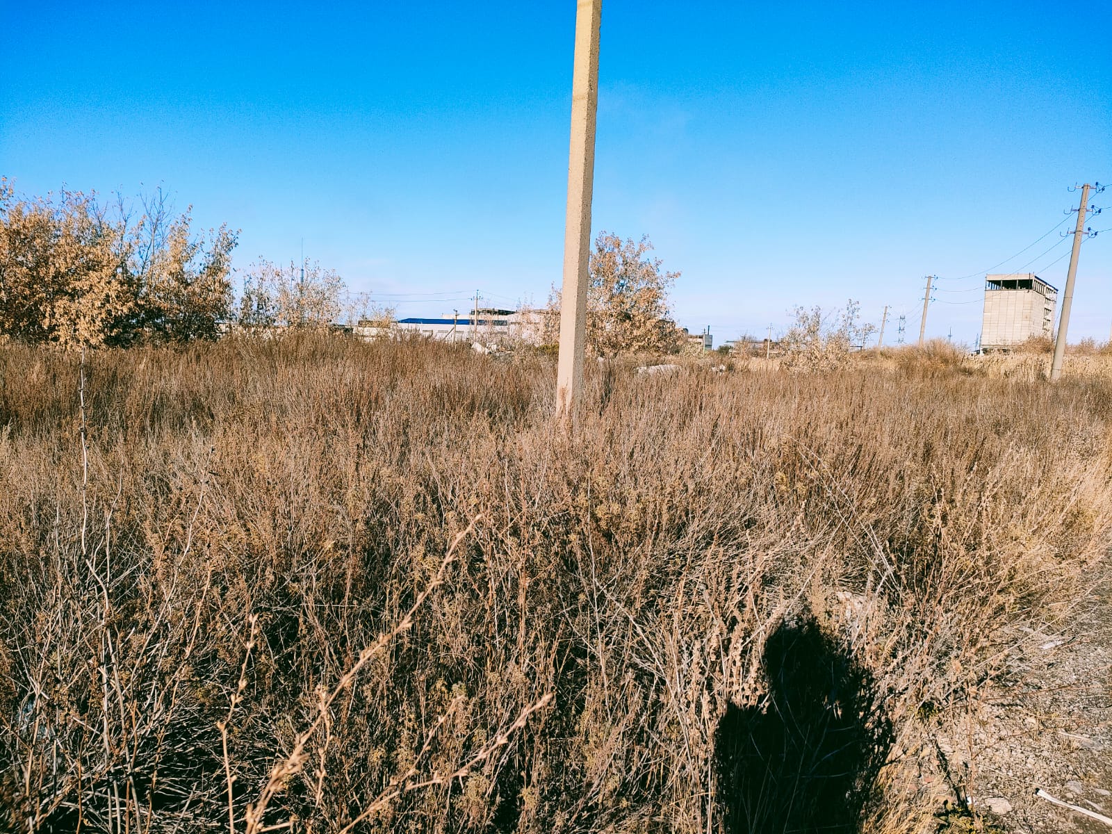 img-2