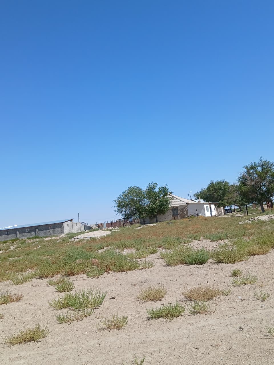 img-3