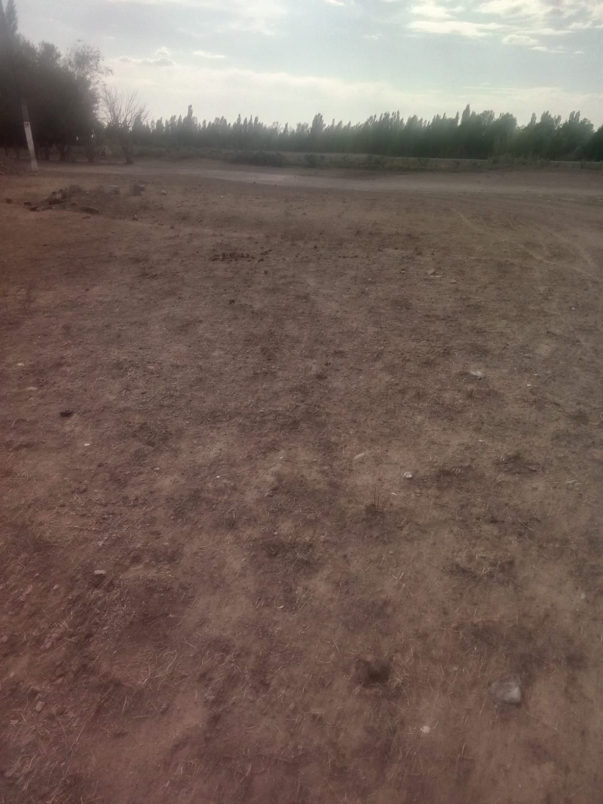 img-1