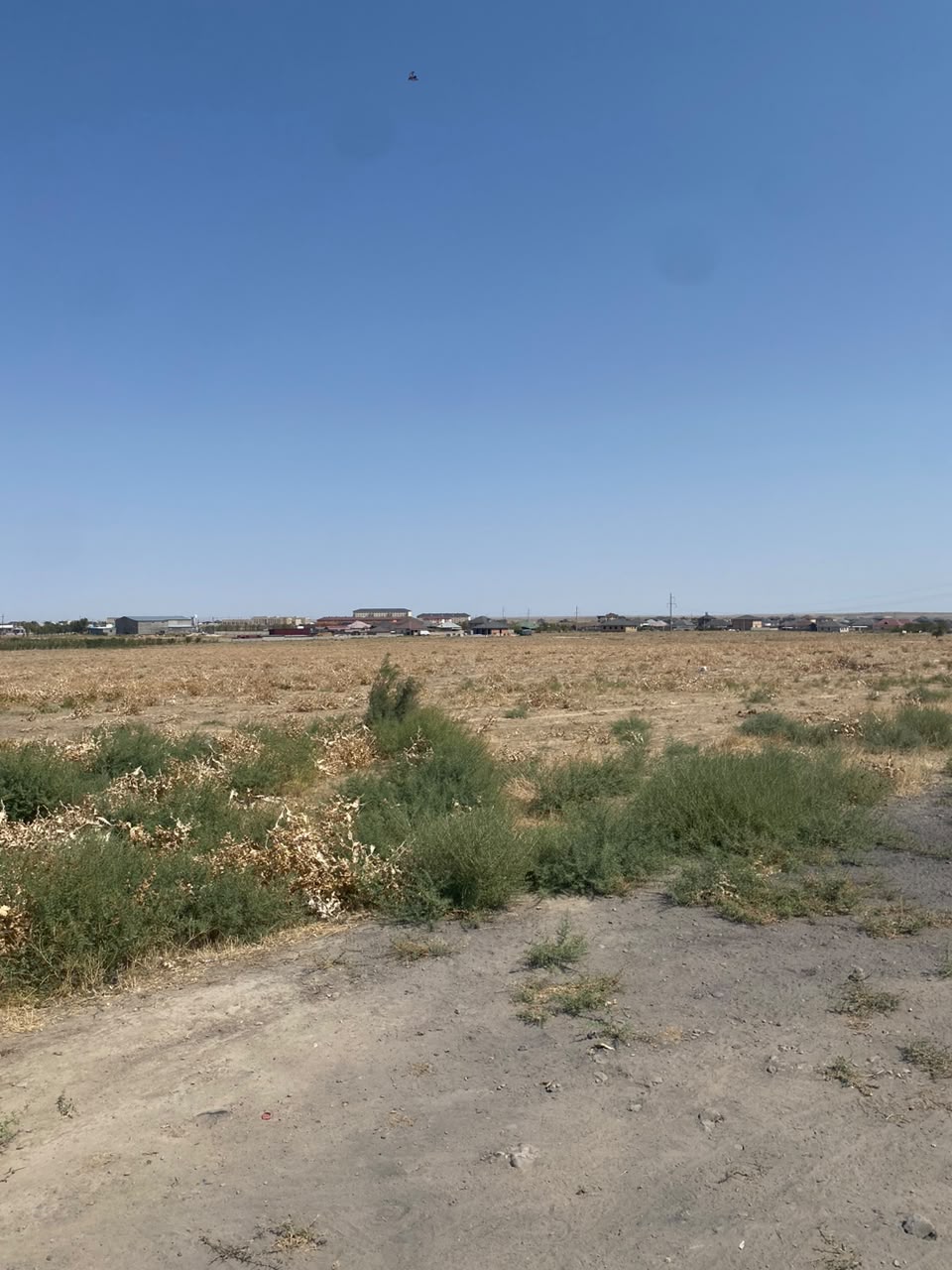 img-3