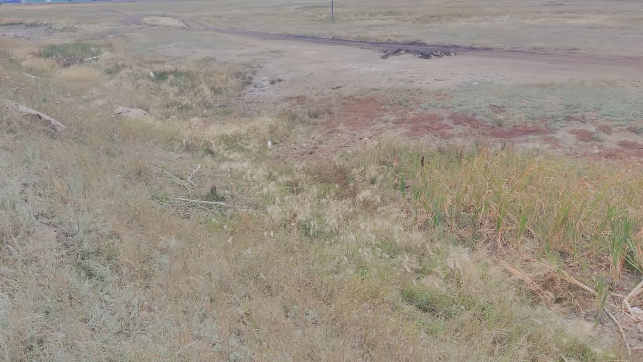 img-3