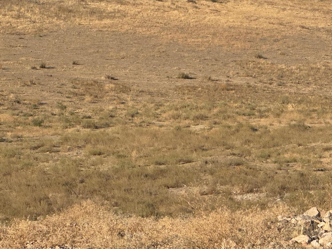 img-2