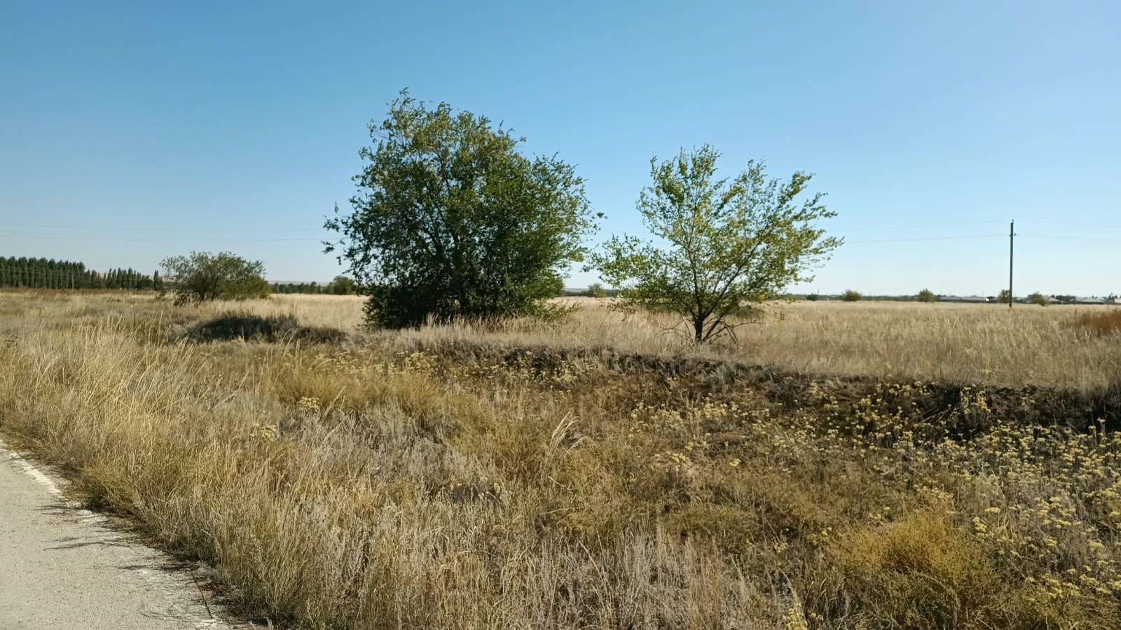 img-2