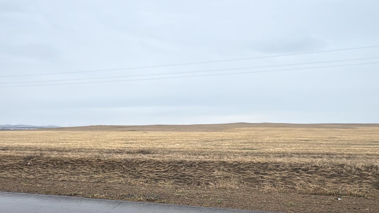 img-3