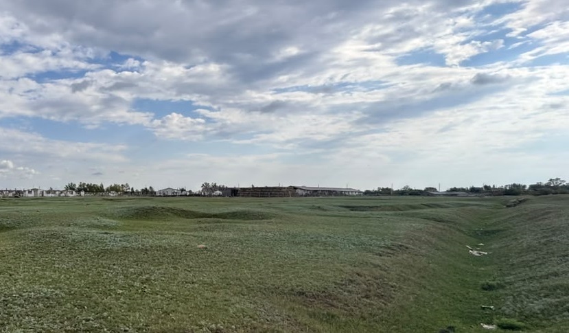 img-3