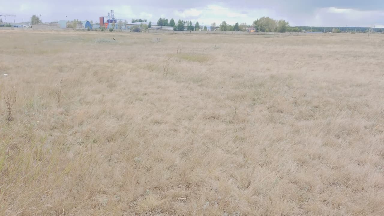 img-0