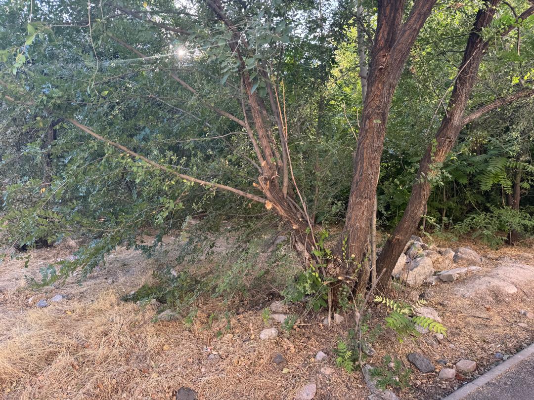img-3