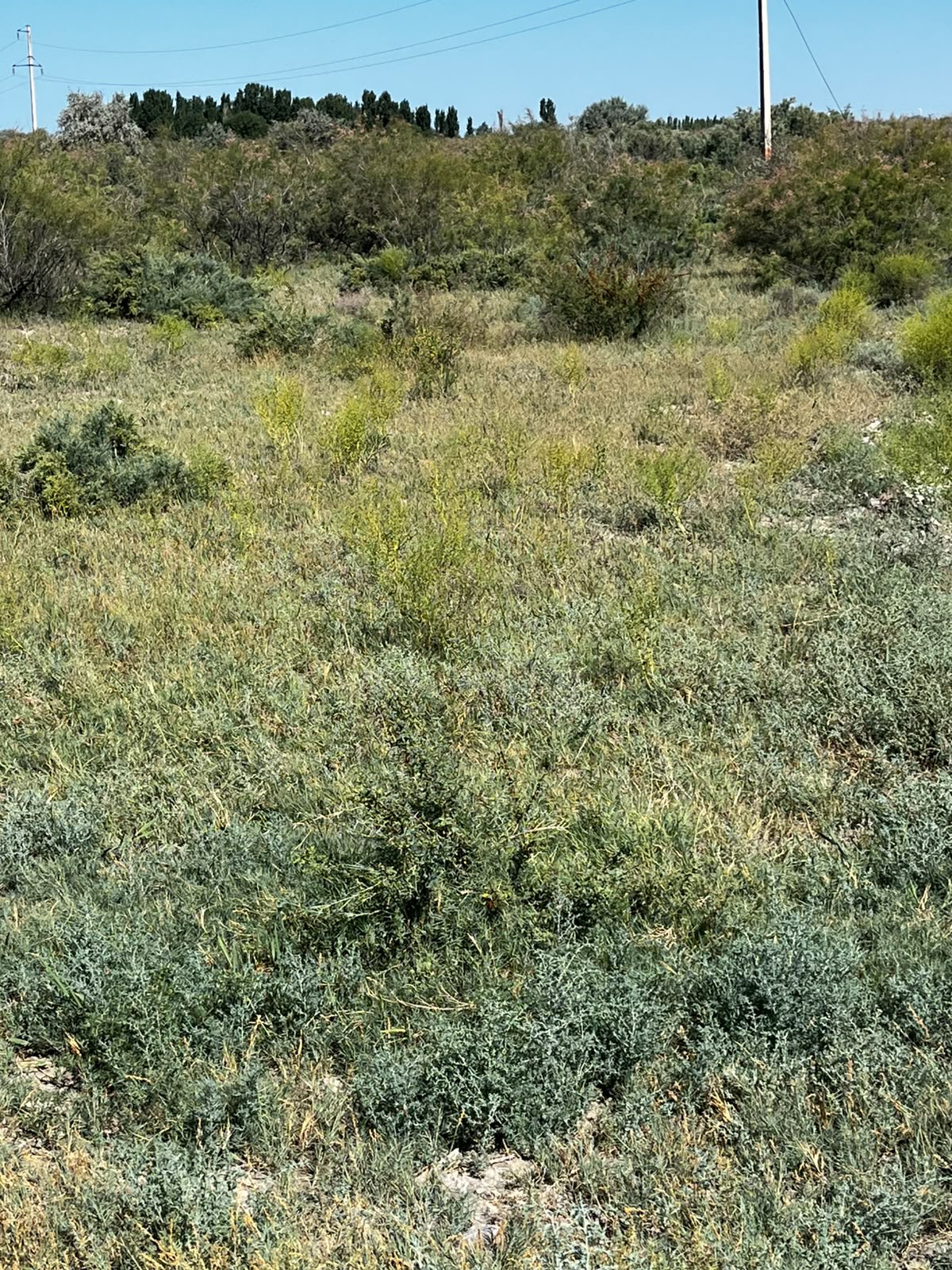 img-2