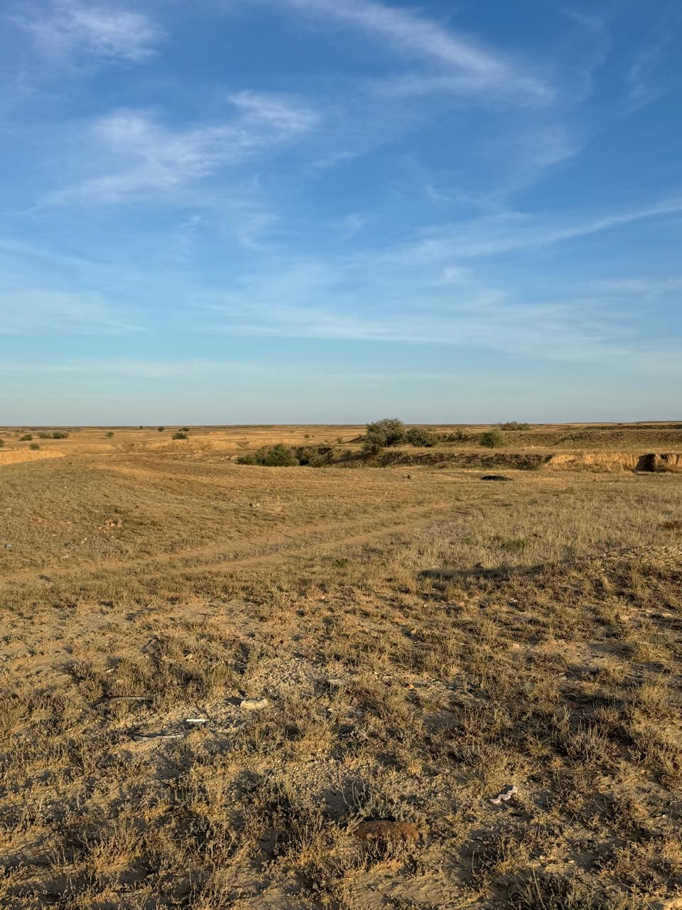 img-2