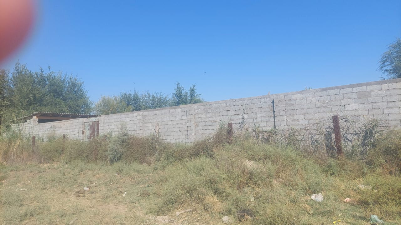 img-2