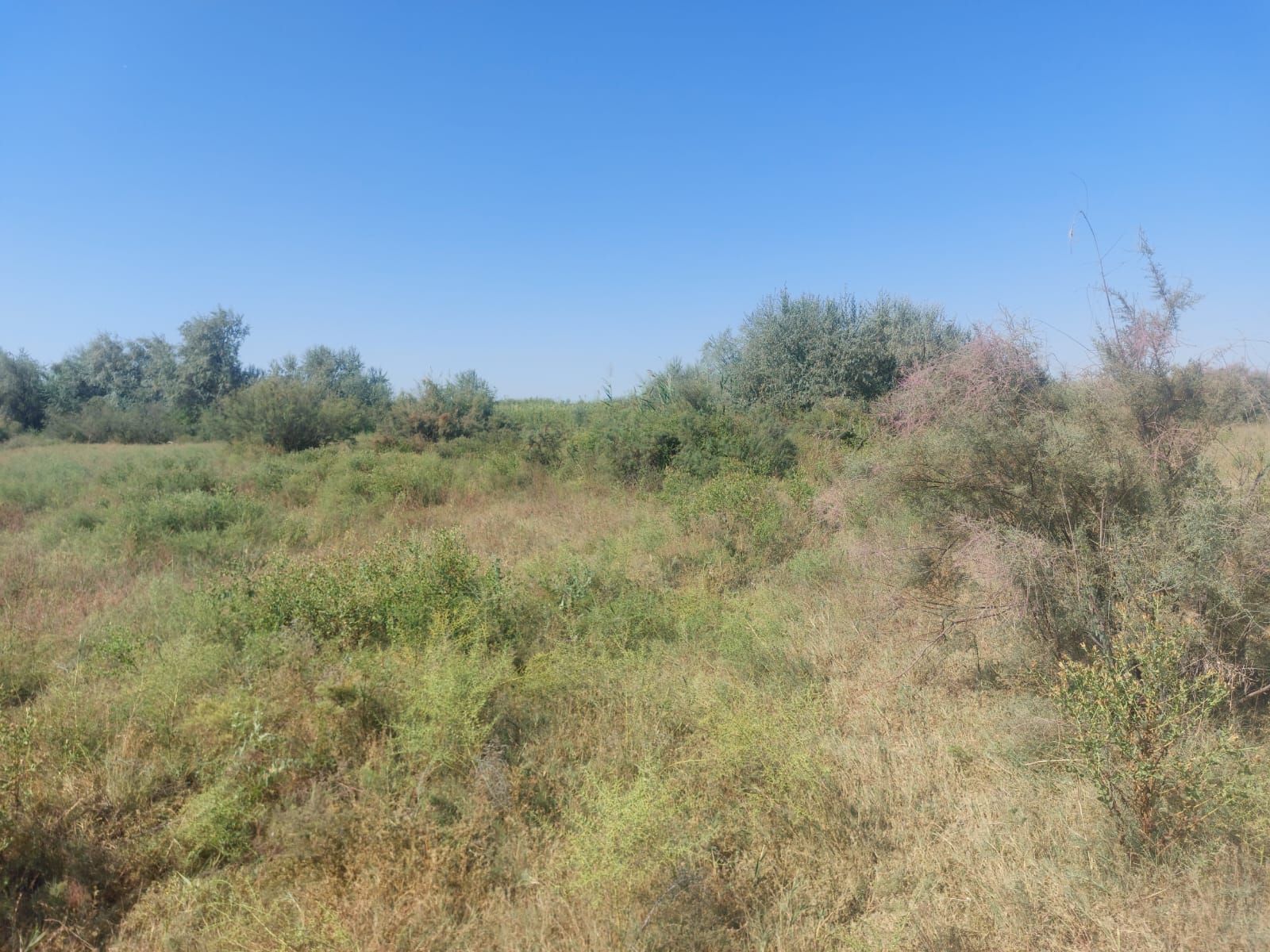 img-3