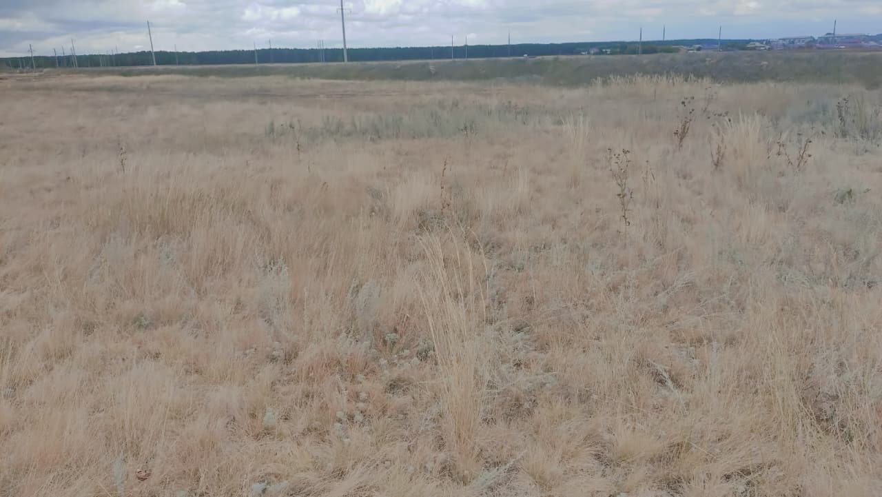 img-1