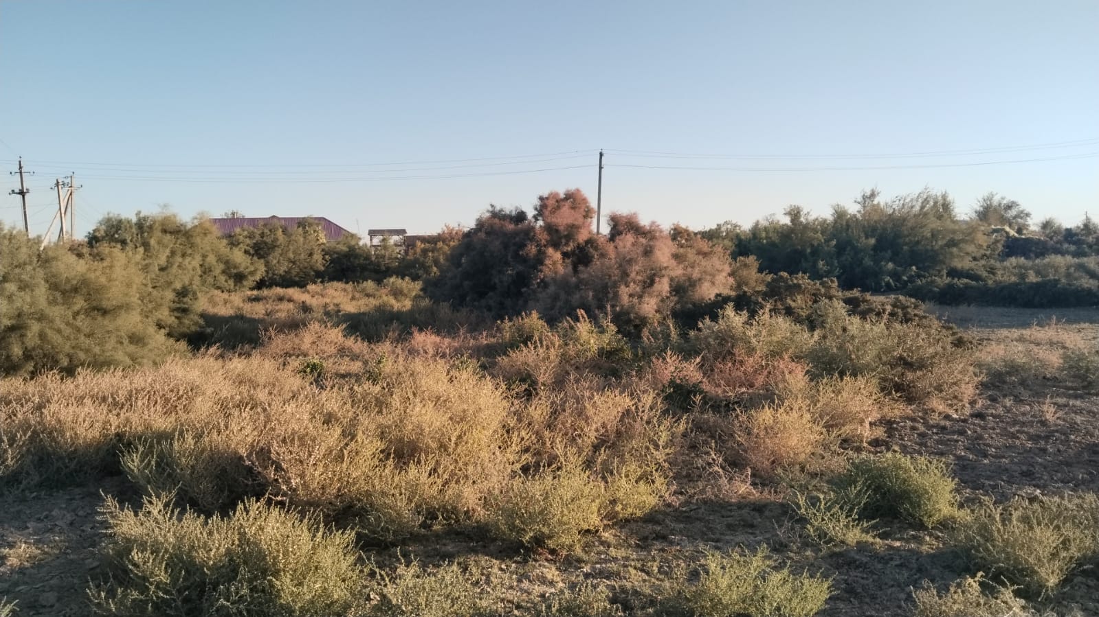 img-2