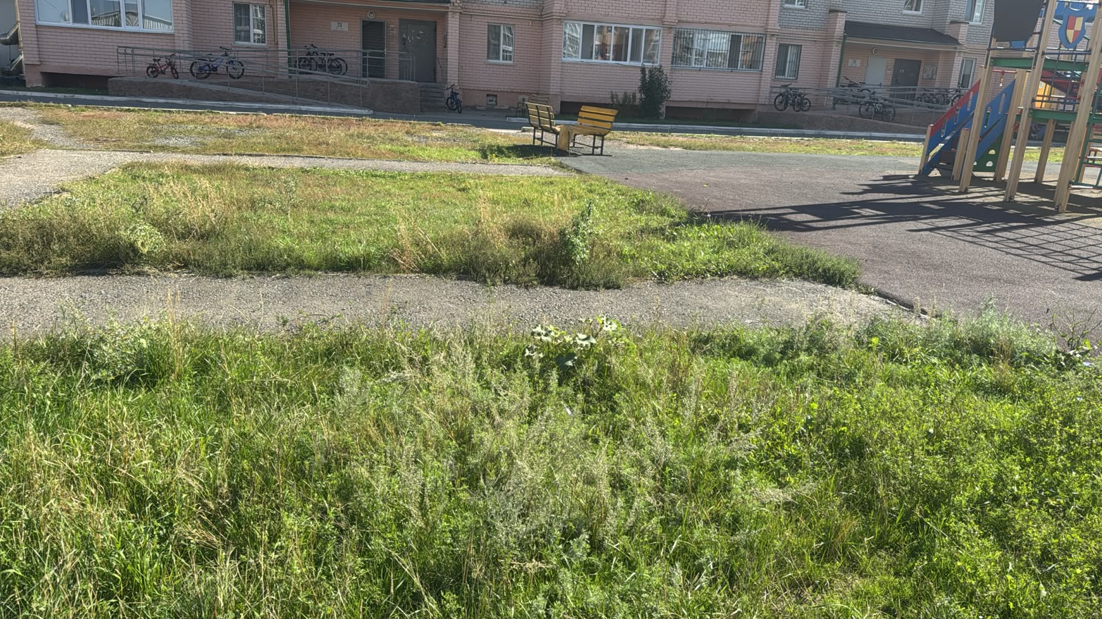 img-0