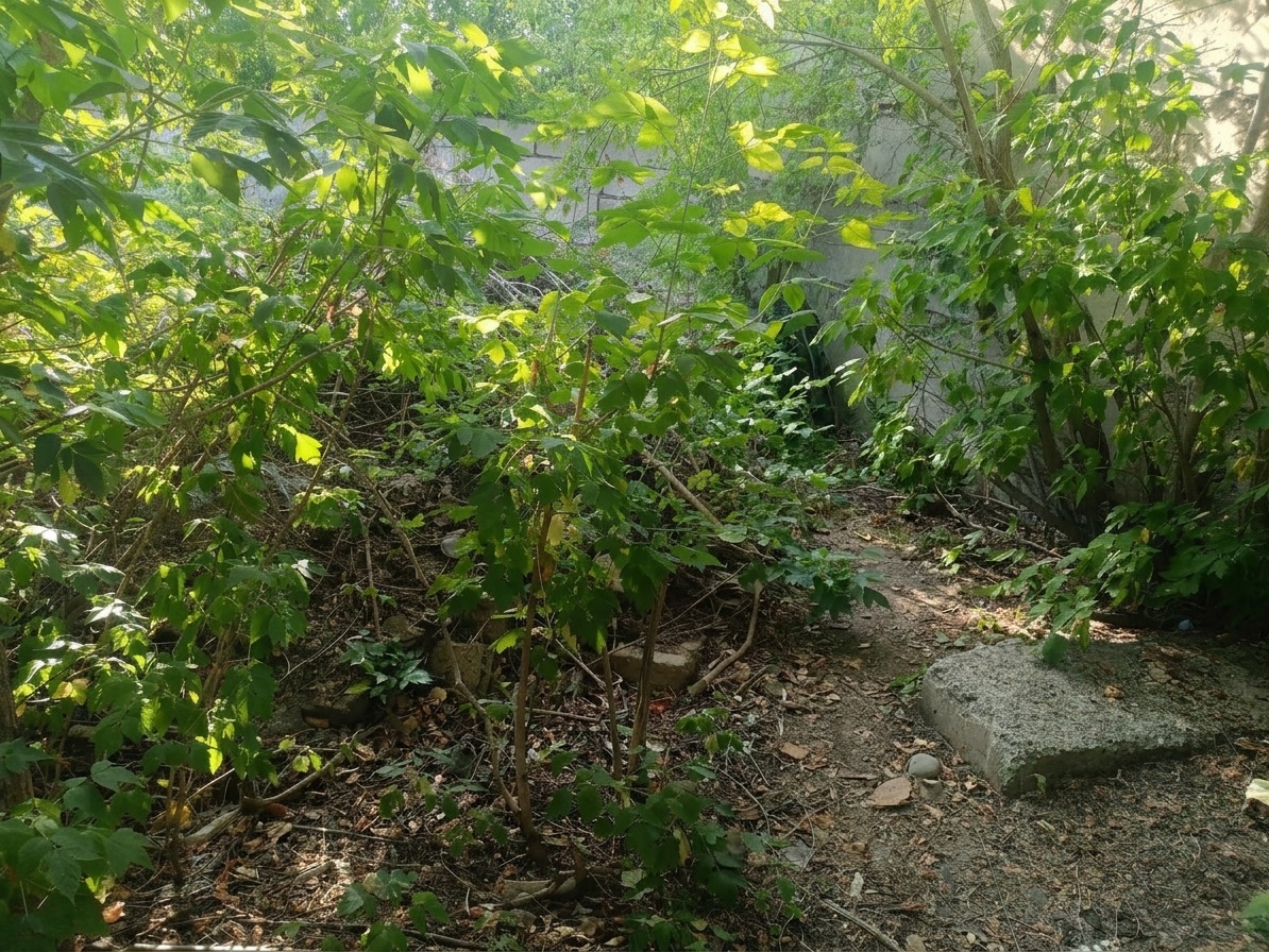 img-1
