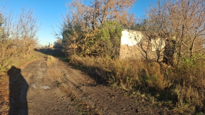 img-3