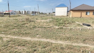 img-2