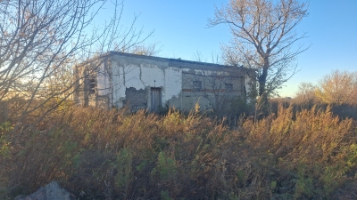 img-2