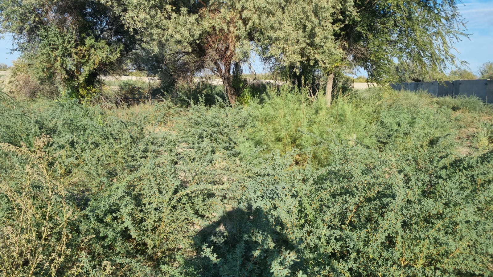 img-0