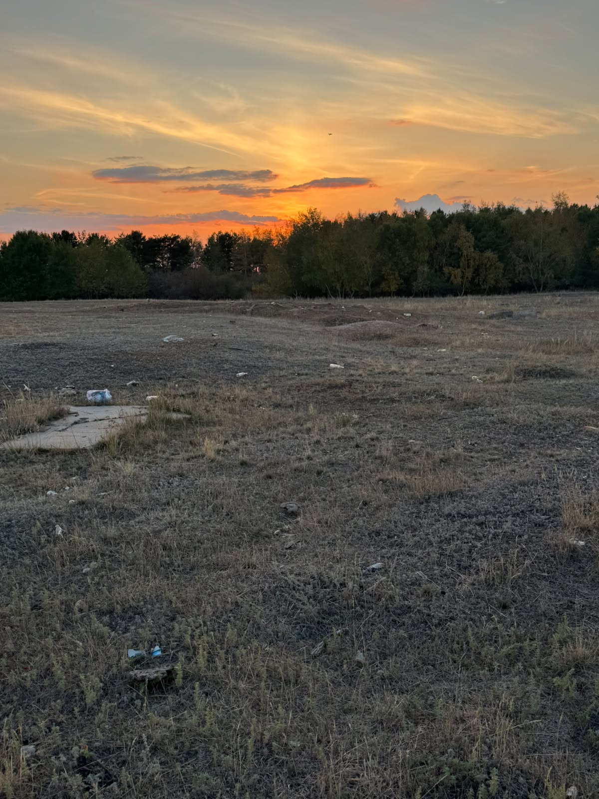 img-0