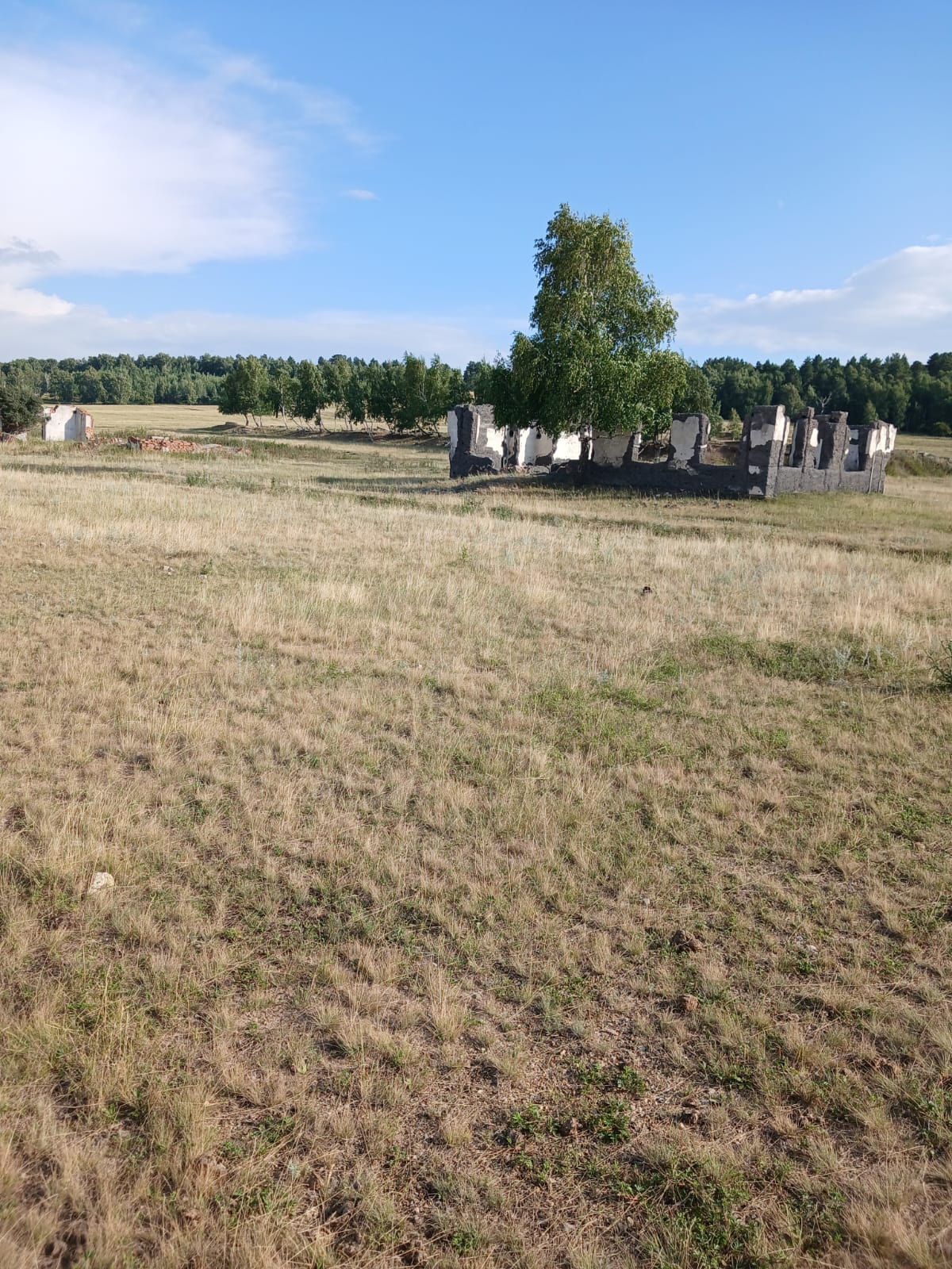 img-4