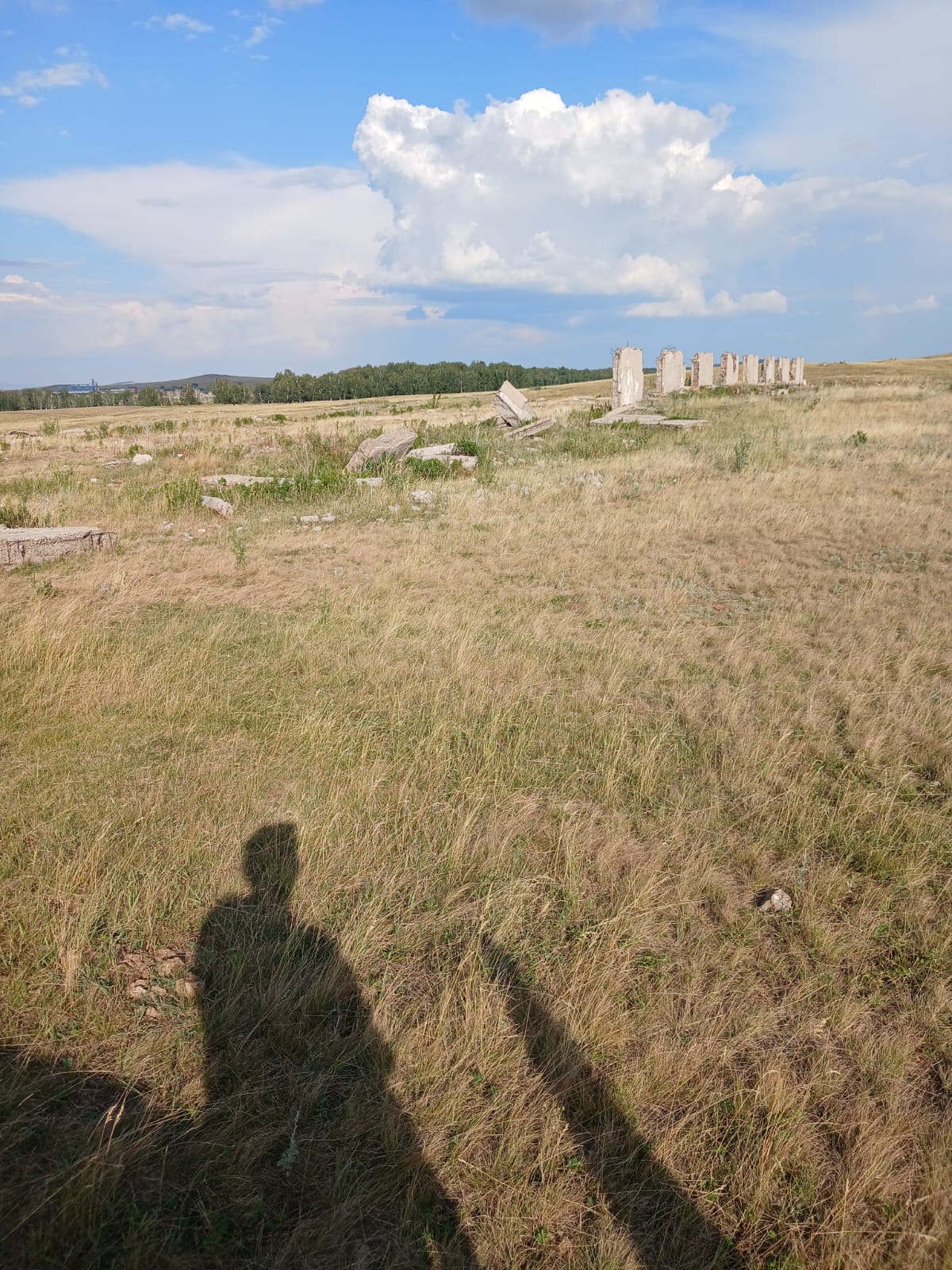 img-3