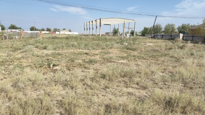 img-3