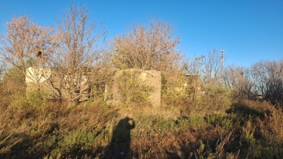 img-1